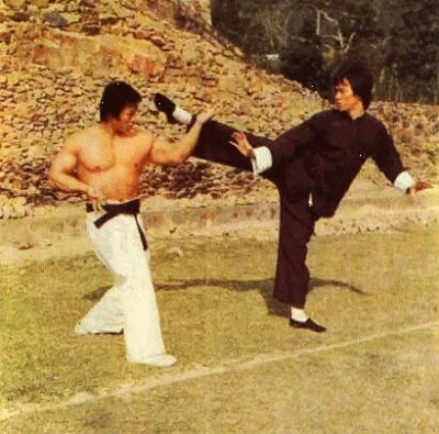 Masters de kung fu