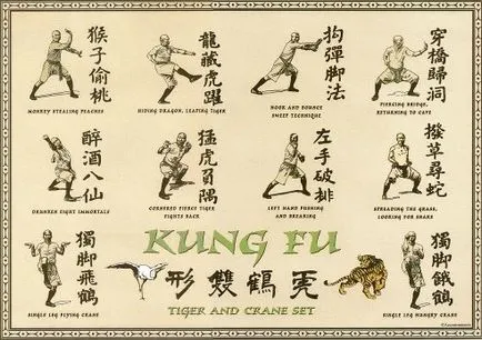 Masters de kung fu