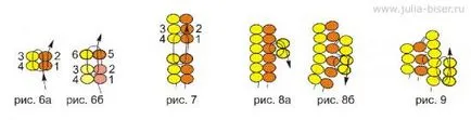 Ursul, platforma de autor