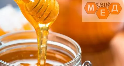 Мед за лечение на цистит популярните рецепти