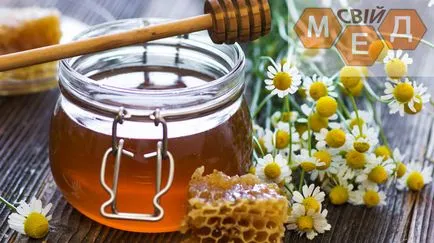 Méz kezelésére cystitis kedvelt receptek
