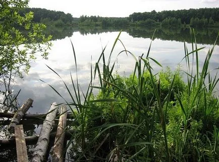 Bear Lake - taxa de pescuit în zona Shchelkovo, prețurile