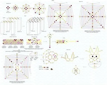 Ursul, platforma de autor