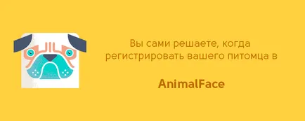 Baza de date International ciobit câini, pisici și alte animale