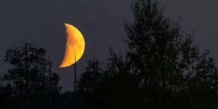 Pot obține o tunsoare la luna plină, impactul luna pe faza de creștere a părului, care este potrivit pentru tăiere, semne