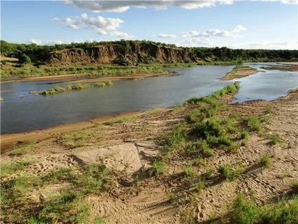 Ez a folyó Limpopo és mesés fa, érdekes tények, egy egyedülálló helyen, lenyűgöző gyönyörű