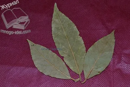 Leaf feldolgozás nélkül moldov