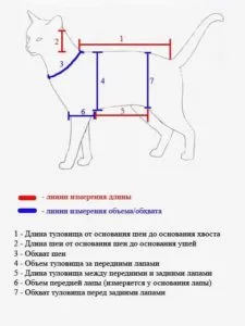 Дрехи за котки с техните модели ръце за търсене и необходимите инструменти