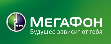 Informații generale despre megafonul card bancar