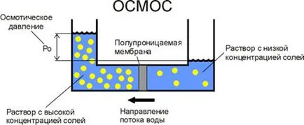 osmoza inversa, principiul descrierii procesului de osmoză