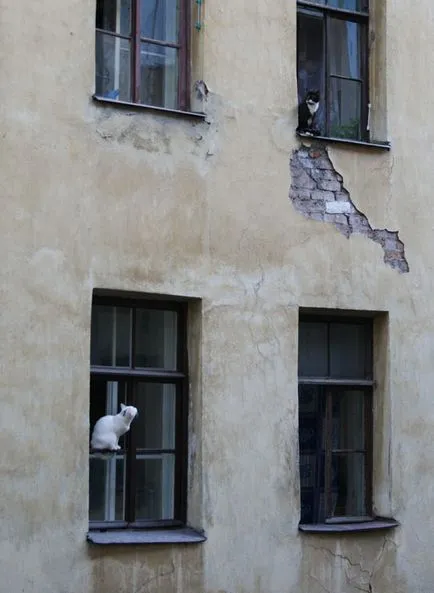 Ablakok, favázas, van-e értelme sí St. Petersburg Konferencia
