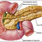 Tratamentul obezității bolilor pancreatice și în special