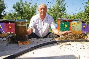 Apiary Savina produse apicole tratament oncologic