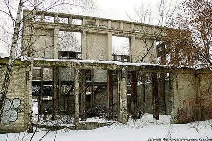 Pavilion - gépipar - (- hatszög -) 1923-ban a területén Gorkij Park, Metropolitan