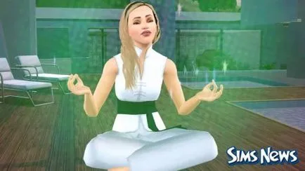 Sims 3 SIM Fu