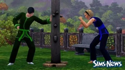 Sims 3 sim Fu