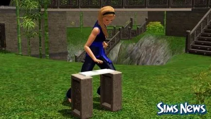 Sims 3 SIM Fu