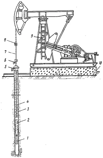 Pompele Rod (shsnu)