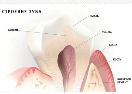 Miért emberiség szenved fogszuvasodás, és hogy lehet-e foglalkozni vele