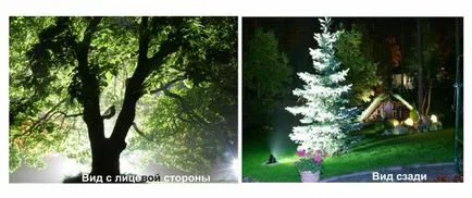 Tree осветление, а аз с примери