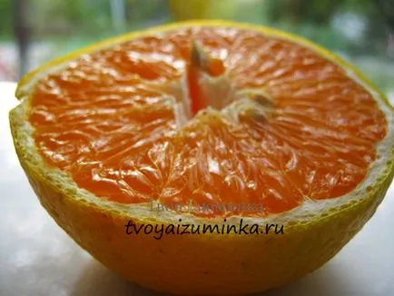 Az előnyök a citrus