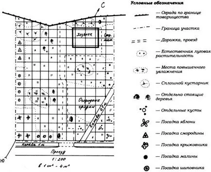 Ordinea planului de construcție