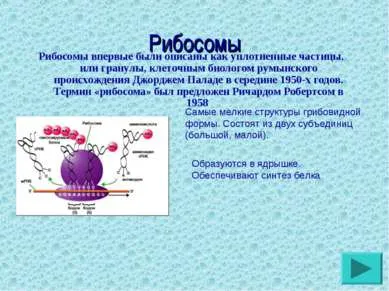 Представяне на - цитология - свали безплатно представяне на биологията