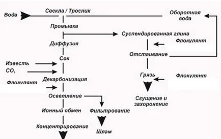 Индустриалното производство на захар - рафинирана захар на пясък и как да се открие завод, технологии, какво да се купува