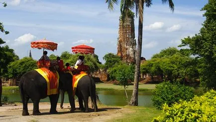 Despre animale și oameni din Thailanda