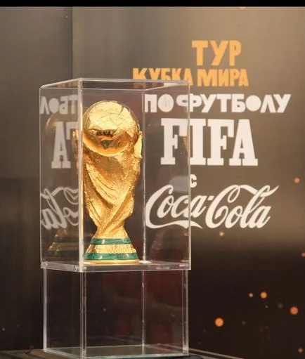 Cinci fapte despre Cupa Cupa Mondială - un blog Borzykina Michael - sportul sovietic