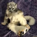 Ресурси - студио fursuit rsbstudio fursuit RSB