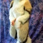 Ресурси - студио fursuit rsbstudio fursuit RSB