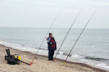 Pescuitul de calcan în Marea Neagră - Pescuit în România și în întreaga lume