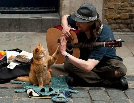 Red Cat Bean, care a devenit celebru în întreaga lume