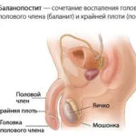 Rozamet (krém) a használati utasítást, ár, vélemények és analógok