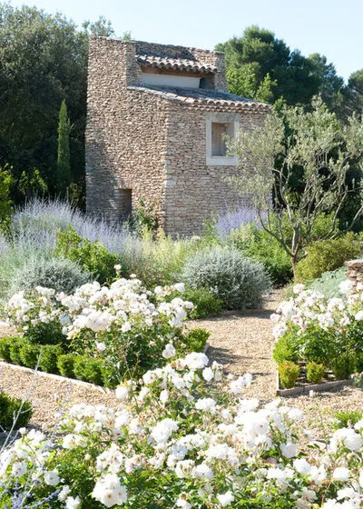 Grădină în stil de Provence, fotografii și sfaturi