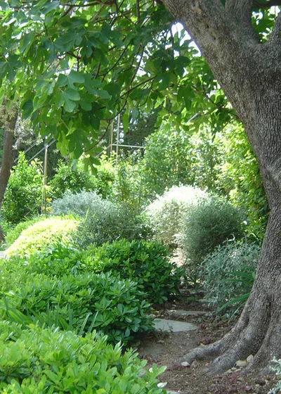 Grădină în stil de Provence, fotografii și sfaturi