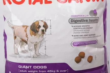 Royal Canin catelus gigant pentru catei rasa gigant