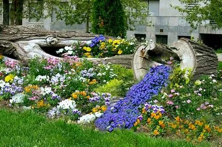 Secretele de proiectare flowerbeds frumos cum să facă un „pârâu floare“