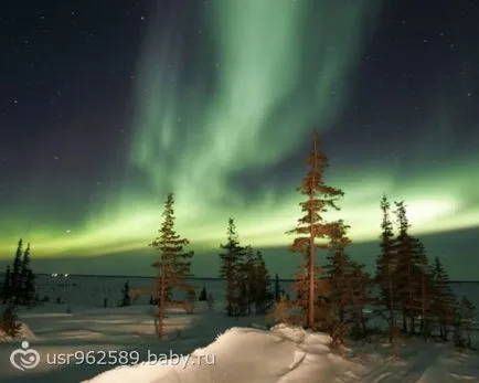 Northern Lights raport Aurora Borealis Grad 4