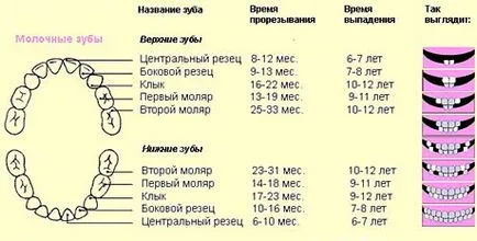 Симптомите на никнене на млечни зъби в състояние бебета или заболяване