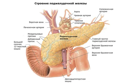 Simptome și tratament de pancreatită acută la adulți