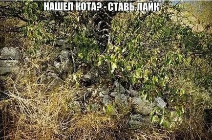 Смешни снимки с надписи снимка