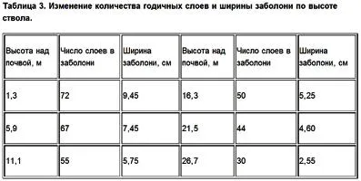 Structura lemnului matur - core alburn