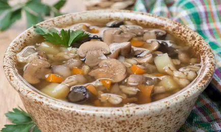 Супи сушени гъби - рецепти за супа от сушени гъби