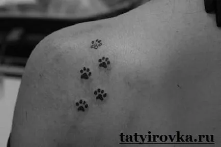 tatuaje Paw și semnificația lor