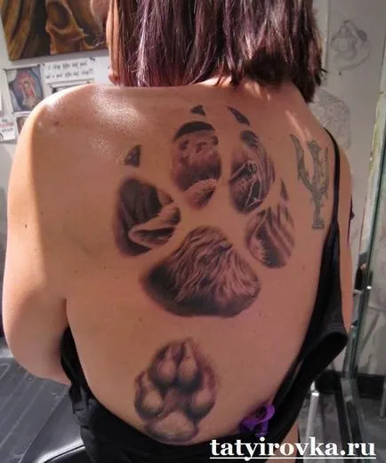 tatuaje Paw și semnificația lor