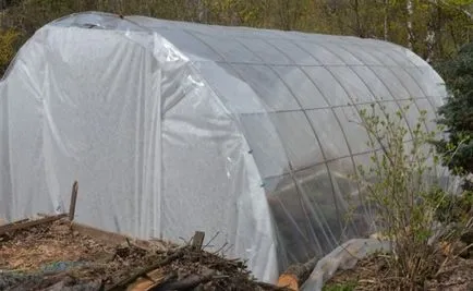 Greenhouse saját kezűleg