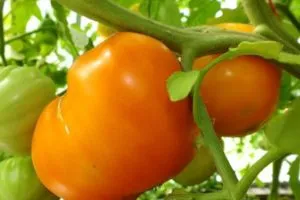 Tomate Caracterizarea inima portocalie și descrierea soiului, comentarii