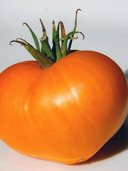 Домати оранжево сърдечни характеристики, описание на сорта и мнения